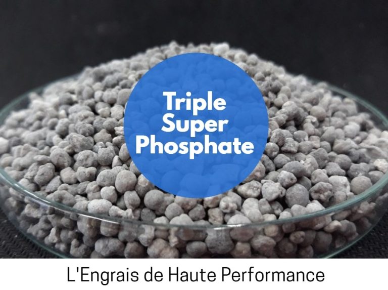 Triple Super Phosphate