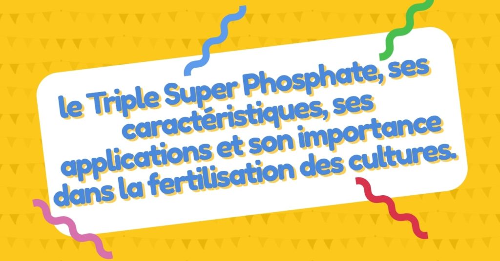 Triple Super Phosphate - L'Engrais de Haute Performance